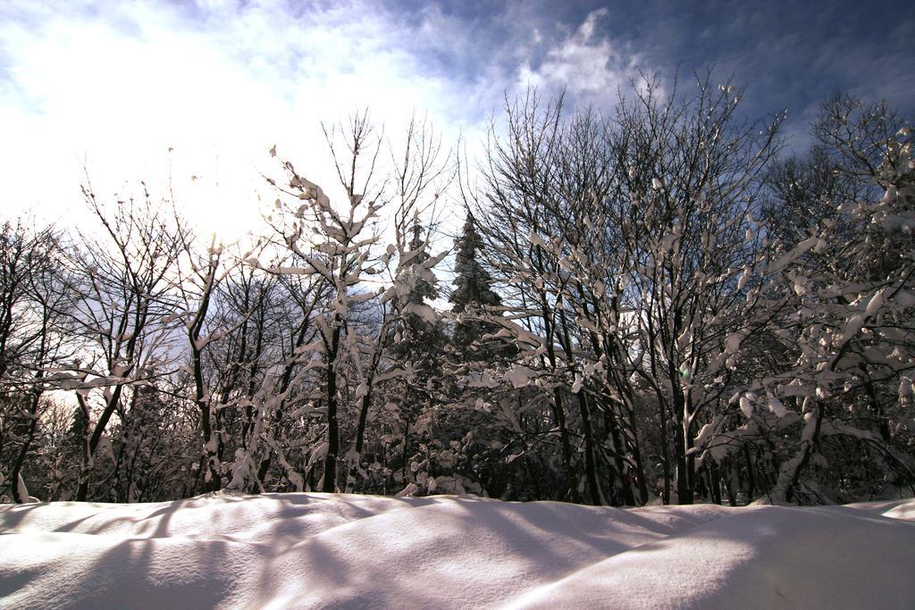 Pension Zueschener Bauernstuben Winterberg Esterno foto