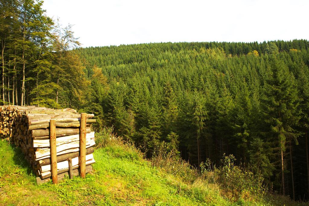 Pension Zueschener Bauernstuben Winterberg Esterno foto